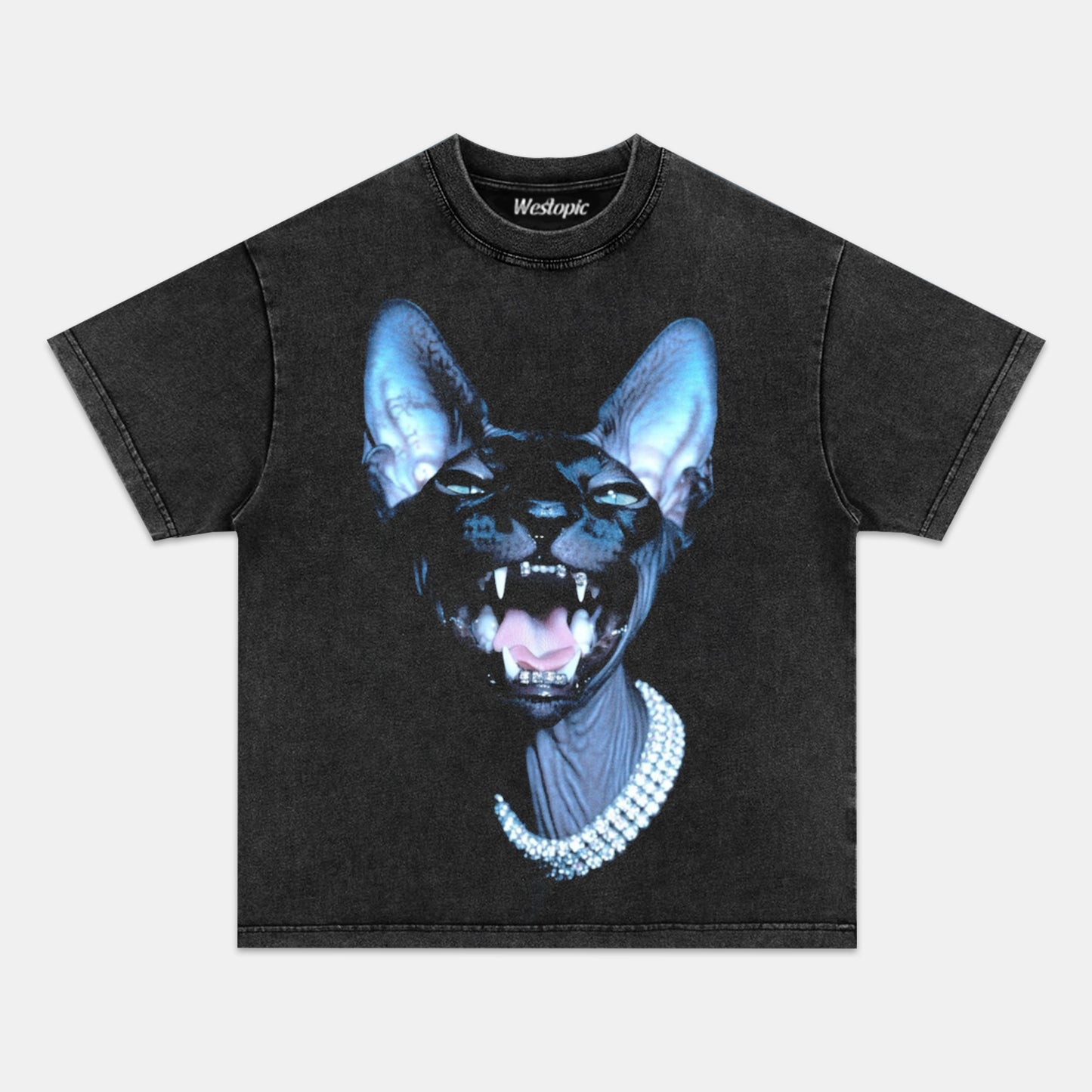RETRO STREET STYLE & CAT TEE.