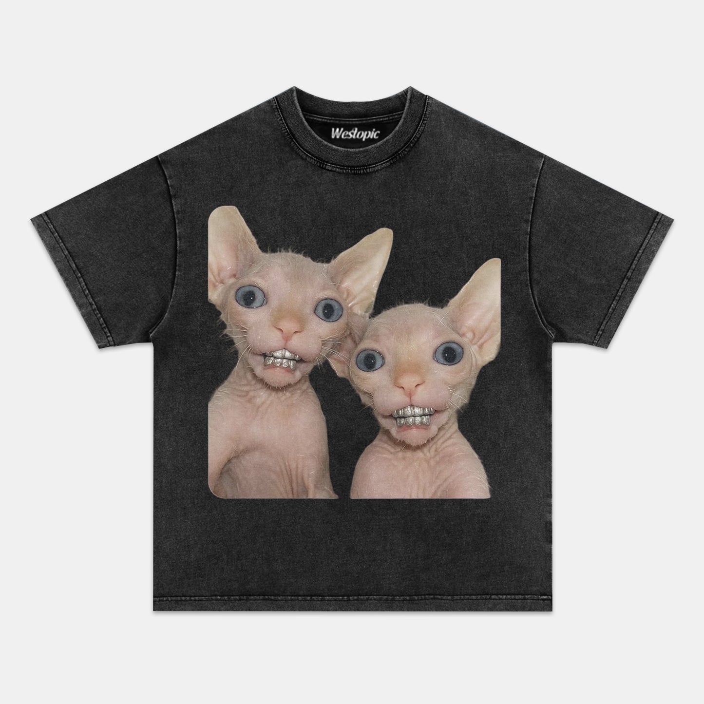 RETRO STREET STYLE & CAT TEE.