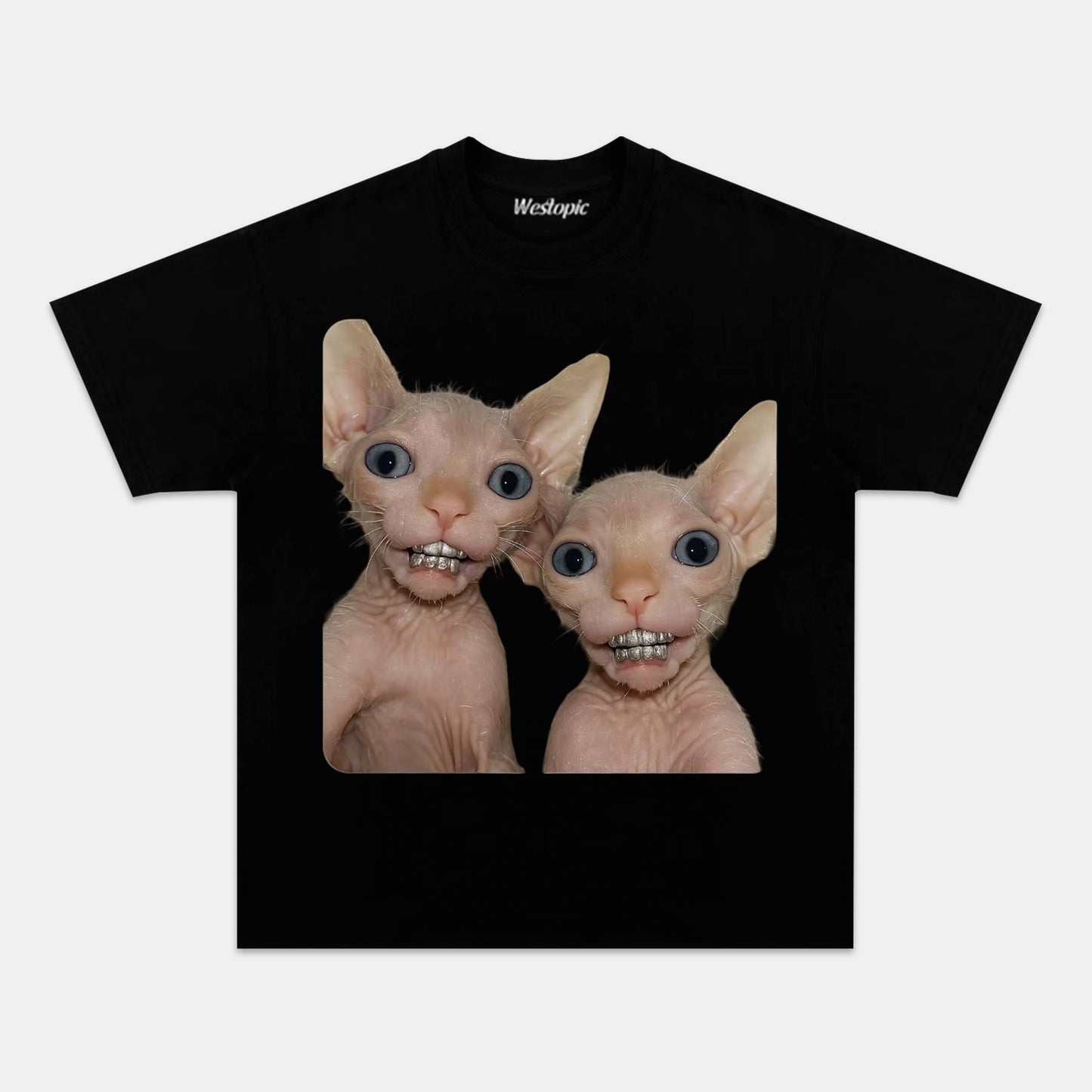 RETRO STREET STYLE & CAT TEE.