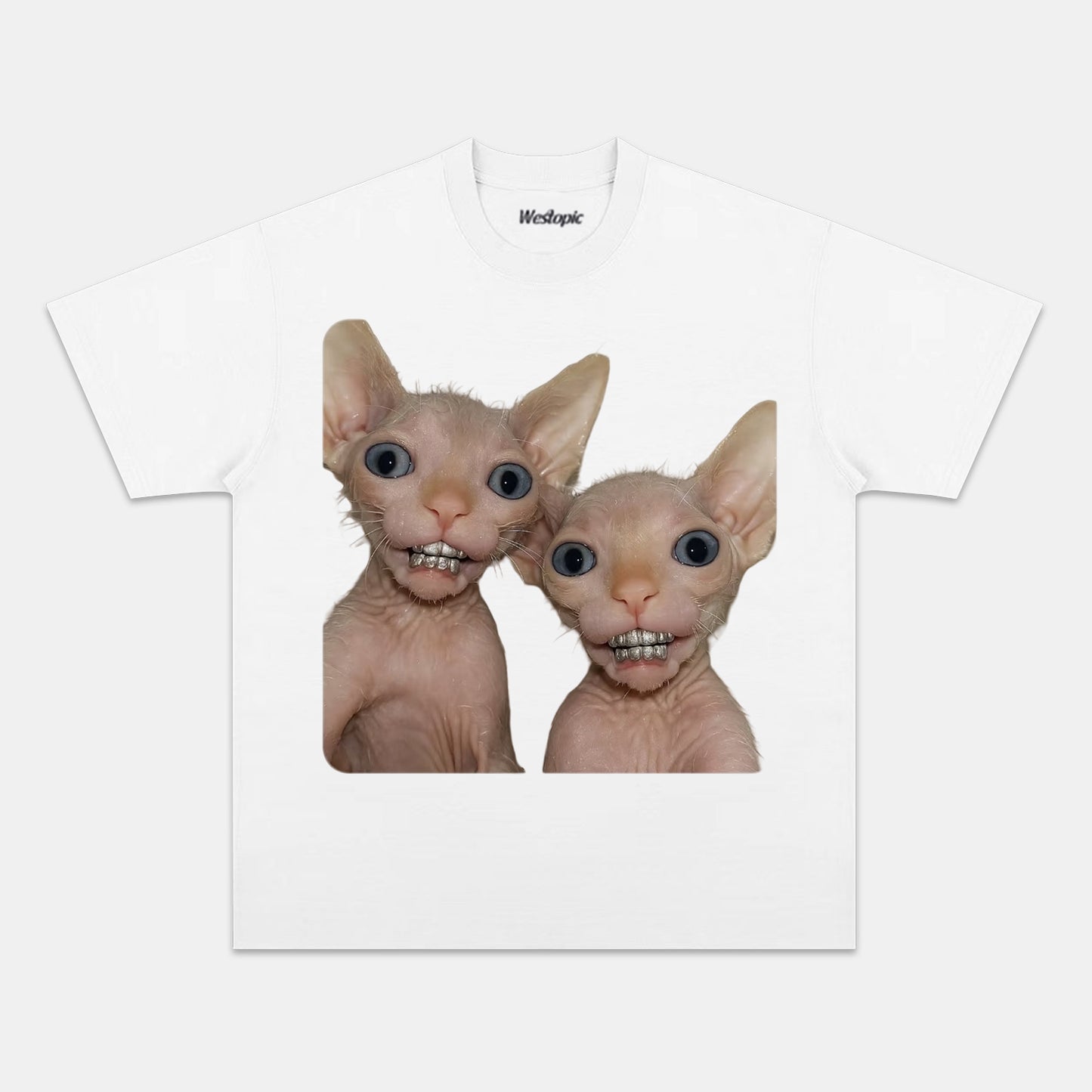 RETRO STREET STYLE & CAT TEE.
