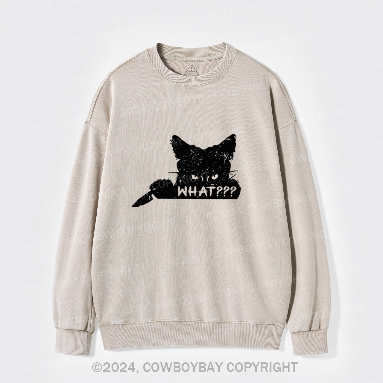 What??? Cat Halloween Washed Sweatshirts