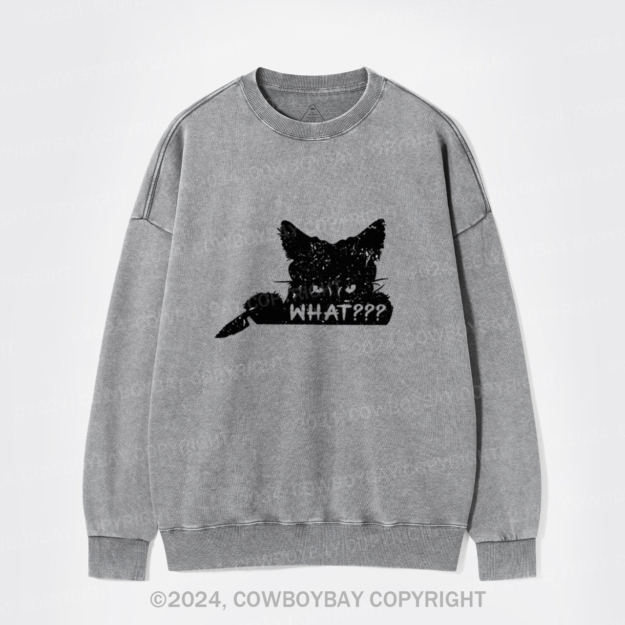 What??? Cat Halloween Washed Sweatshirts