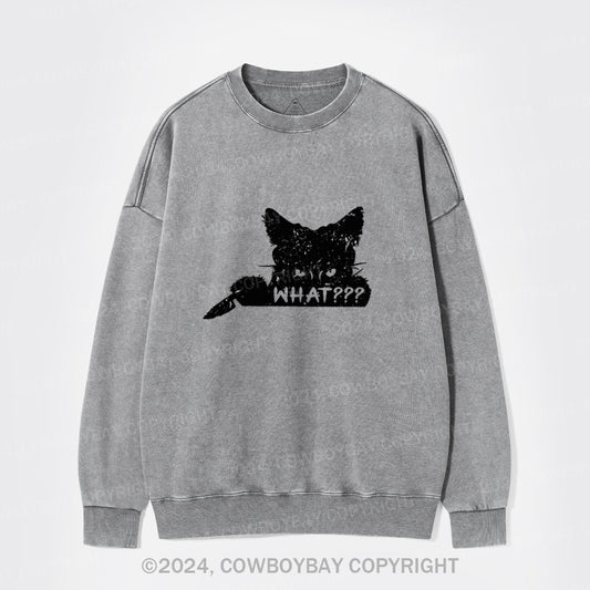 What??? Cat Halloween Washed Sweatshirts