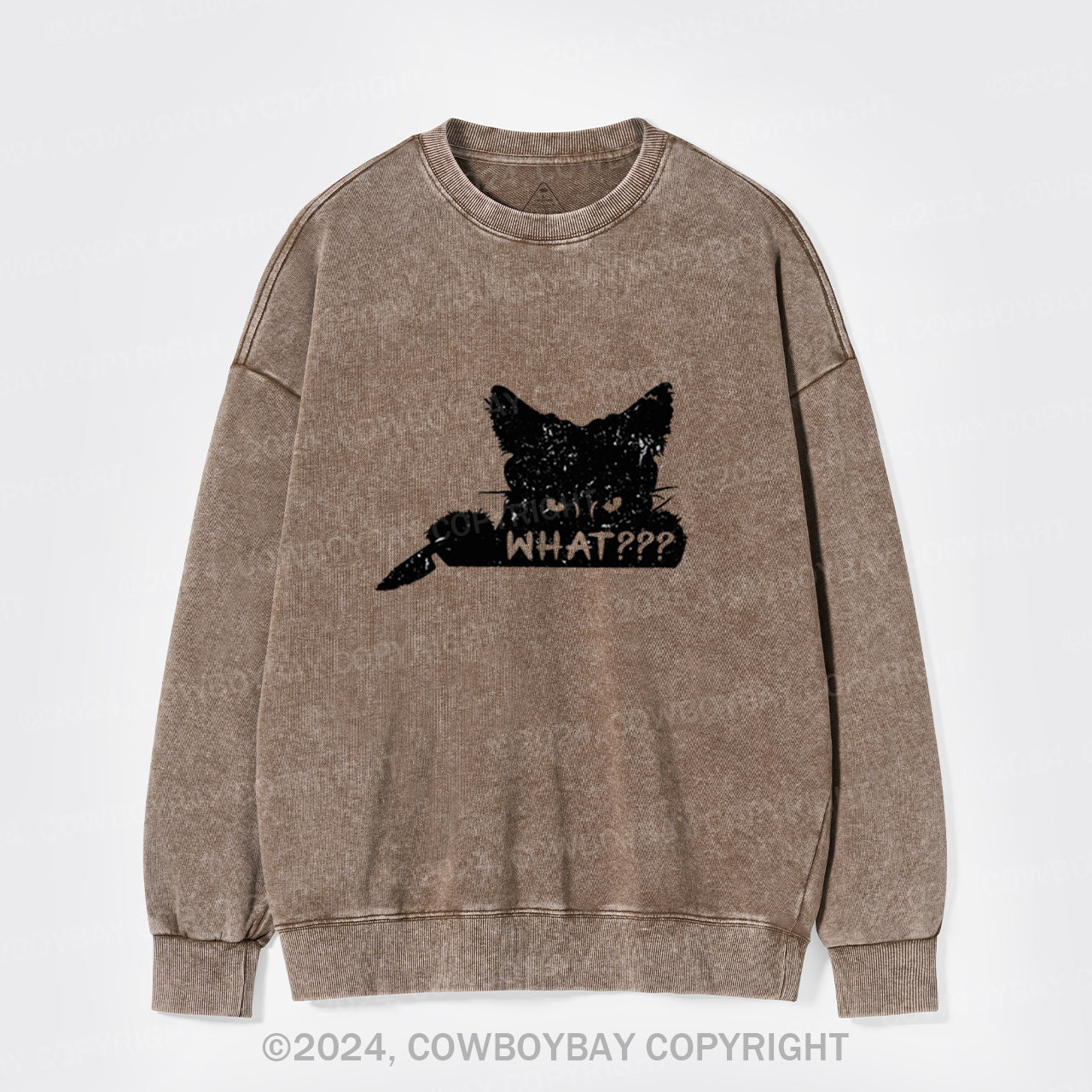 What??? Cat Halloween Washed Sweatshirts