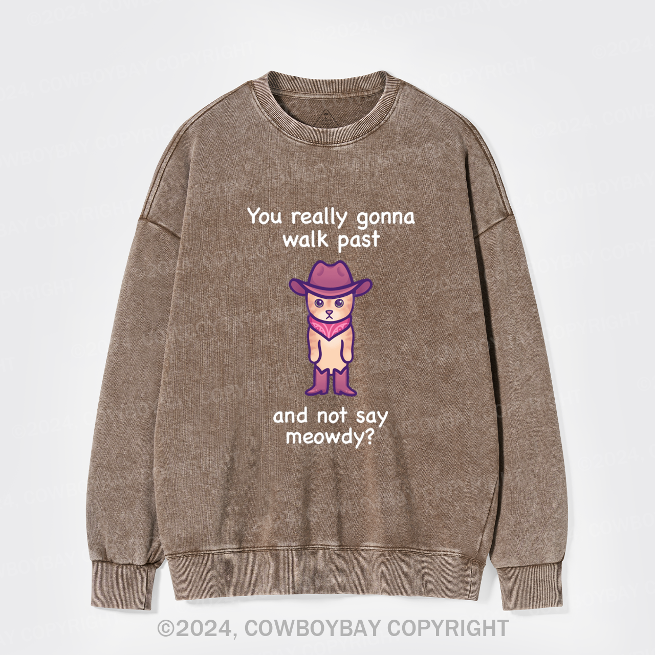 You Really Gonna Walk Past And Not Say Meowdy Washed Sweatshirts