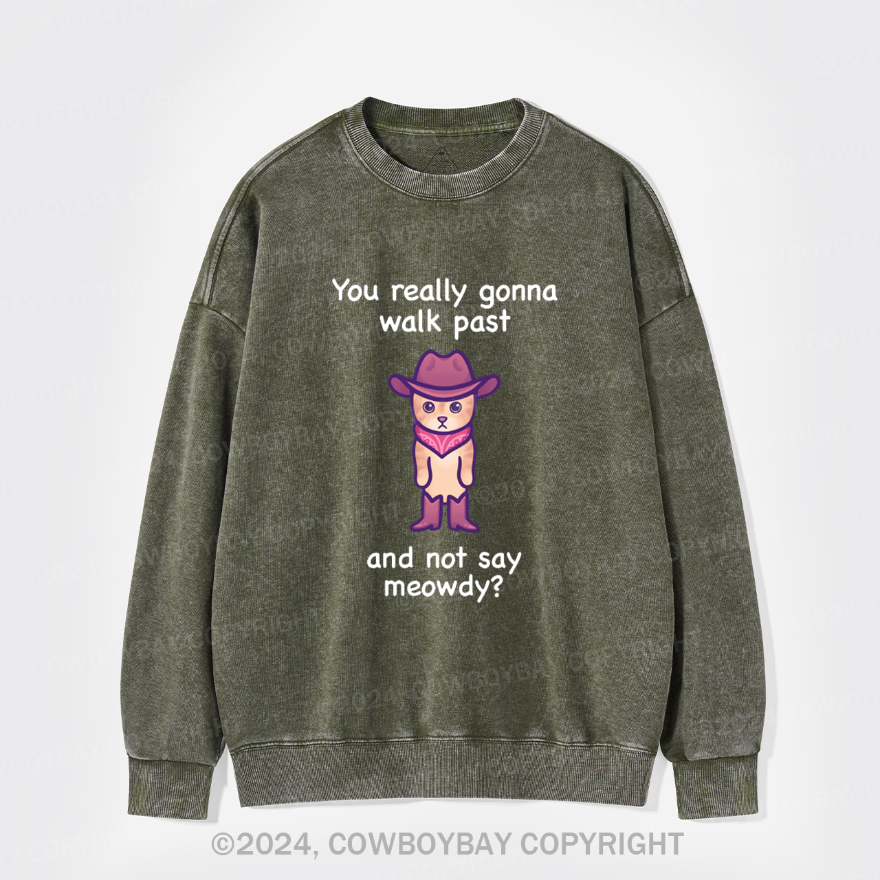 You Really Gonna Walk Past And Not Say Meowdy Washed Sweatshirts