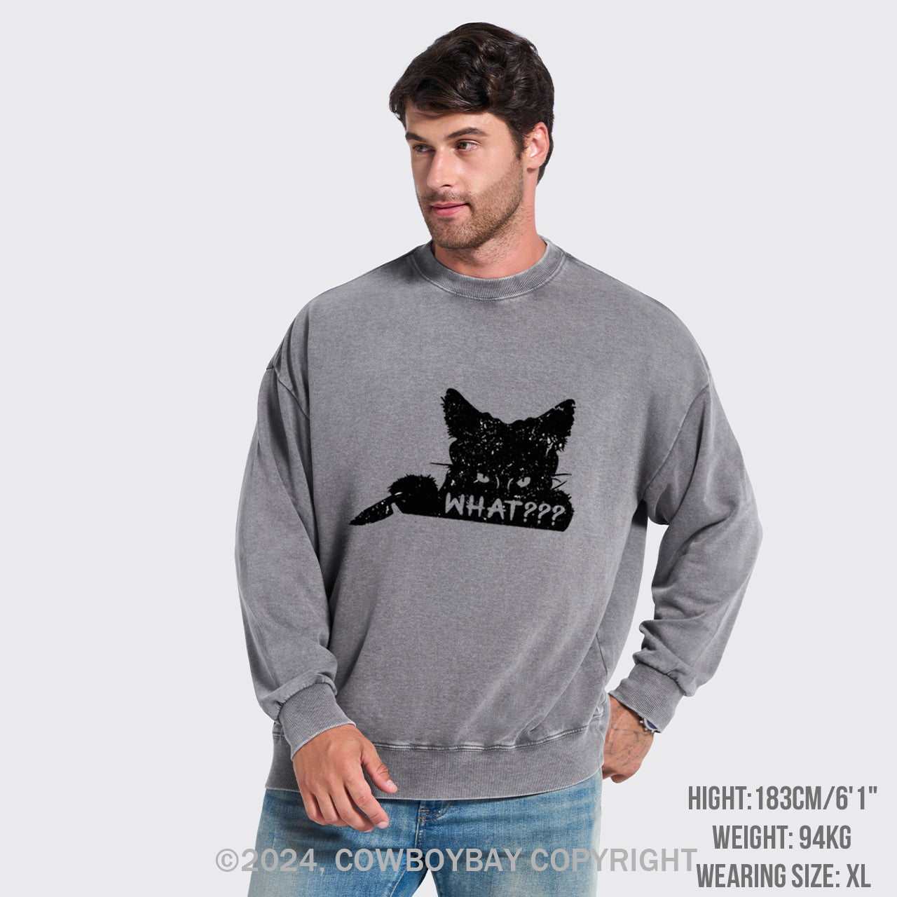 What??? Cat Halloween Washed Sweatshirts