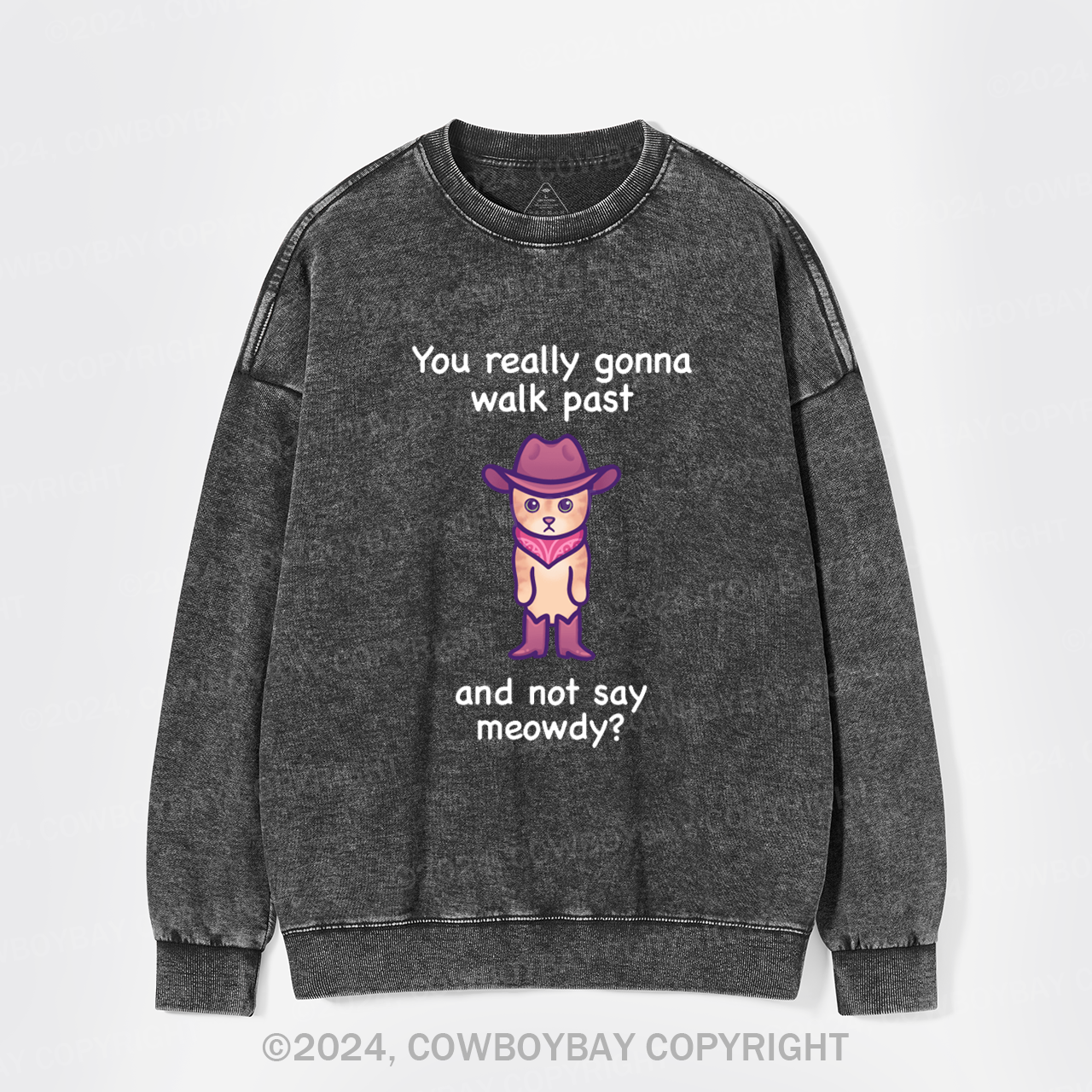 You Really Gonna Walk Past And Not Say Meowdy Washed Sweatshirts