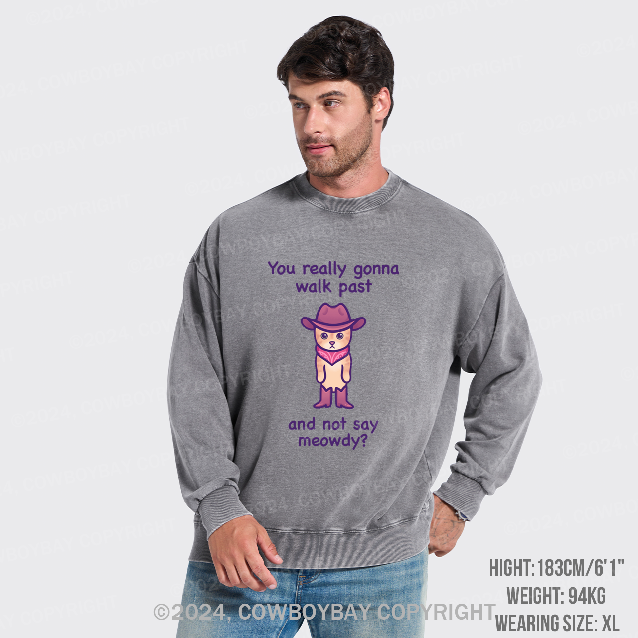 You Really Gonna Walk Past And Not Say Meowdy Washed Sweatshirts