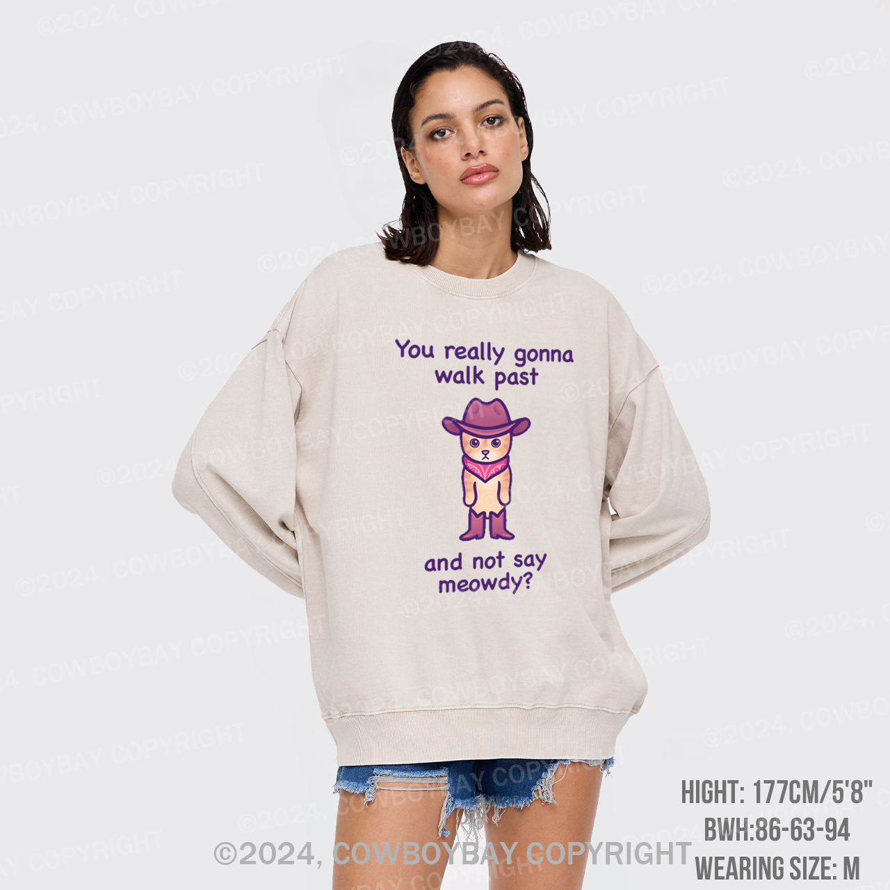 You Really Gonna Walk Past And Not Say Meowdy Washed Sweatshirts